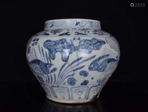 Blue and white strip glaze cans open piece of fish and algae...