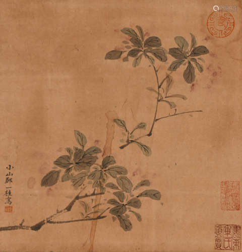 邹一桂 (1686-1772) 花卉