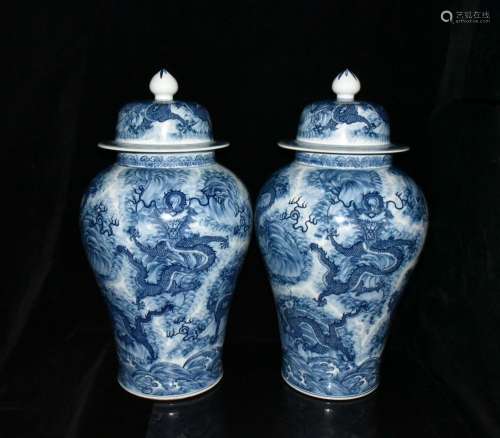 Kowloon general canister to a pair of 73.5 x38cm h2400