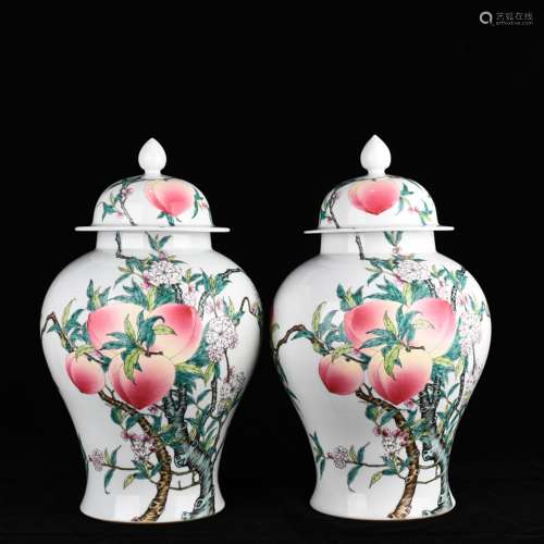 Pastel peach wufu nine lines the general pot of antique vase...