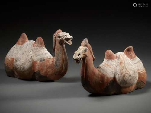 A RARE PAIR OF BACTRIAN CAMELS, PAINTED GRAY POTTERY, TANG D...
