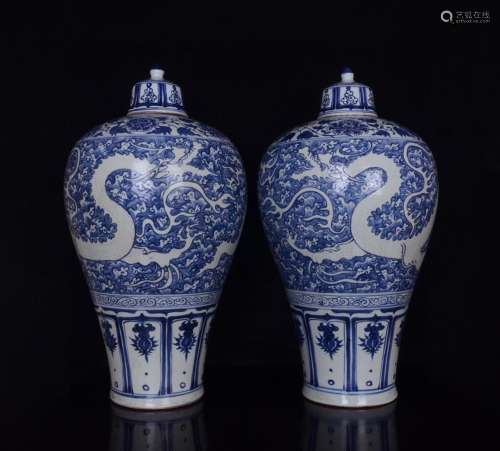 Mei bottles of a pair of blue and white light carving dragon...