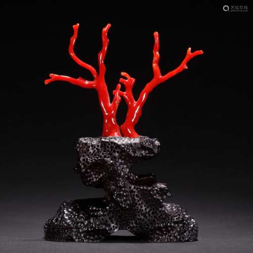 Coral branches, potted furnishing articles.Specification: ov...