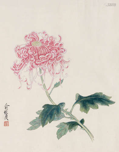1915～1995 俞致贞 红菊花 设色纸本 镜片