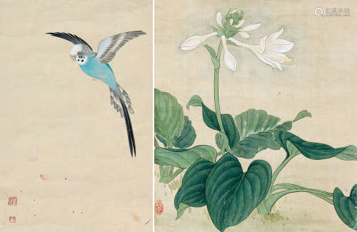 1915～1995 俞致贞 玉簪花、蓝鹦鹉 两帧 设色绢本 镜片
