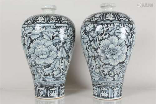 Collection of Chinese Blue and White Porcelain Fortune Vases