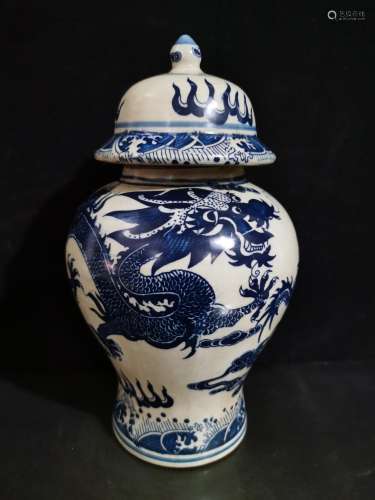 Blue and white dragon, the general pot of a couple