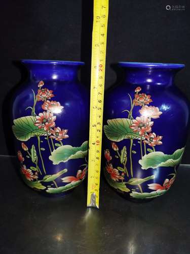 Wax gourd bottle a pair, JiLan glaze enamel paint