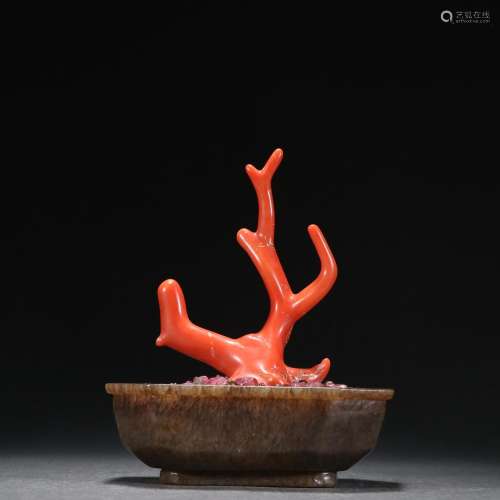 Coral miniascape furnishing articles.Specification: high 13 ...