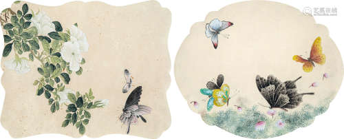 佚名 民国 花蝶图扇片二帧 纸本 镜片