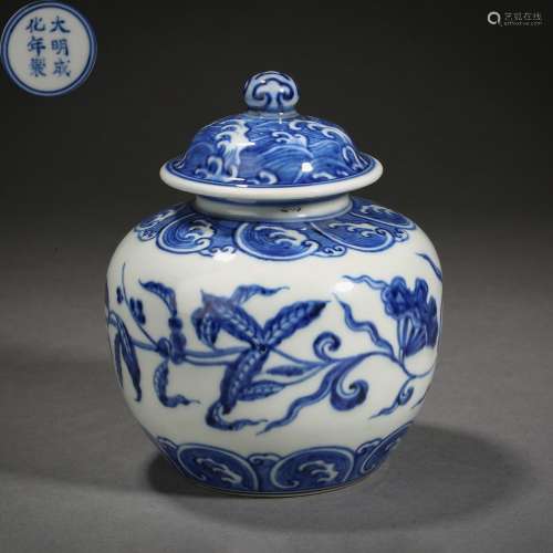 Ming Dynasty Blue and White Flower Covered Jar
