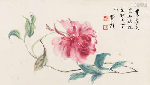 张大千（1899-1983）·芍药 纸本设色 镜芯