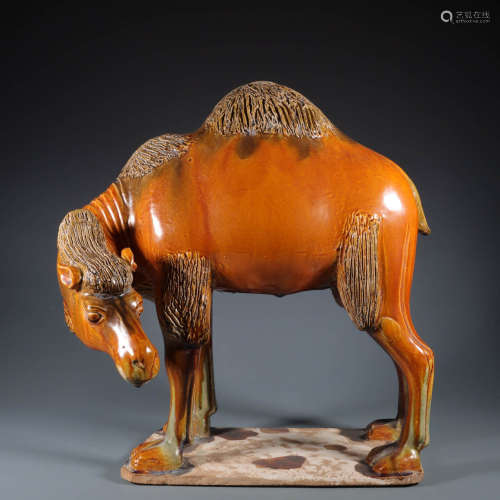 In ancient China, three-color camels