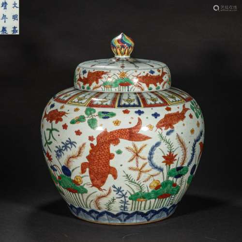 CHINESE MING DYNASTY COLORFUL FISHGRASS POT