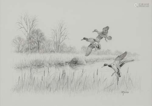 David Maas Graphite Drawing of Ducks