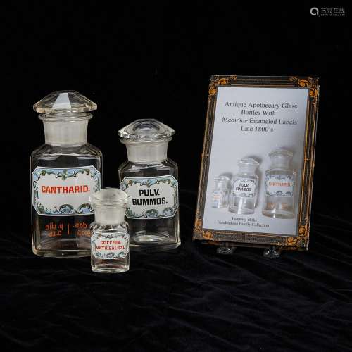 Group of 3 Enamel Glass 19th c. Apothecary Bottles