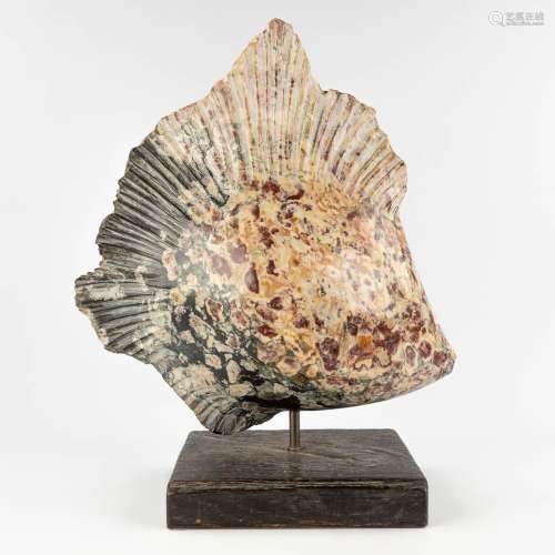 Lucien GHOMRI (1949) 'Large Fish' sculptured marble. (D:27 x...