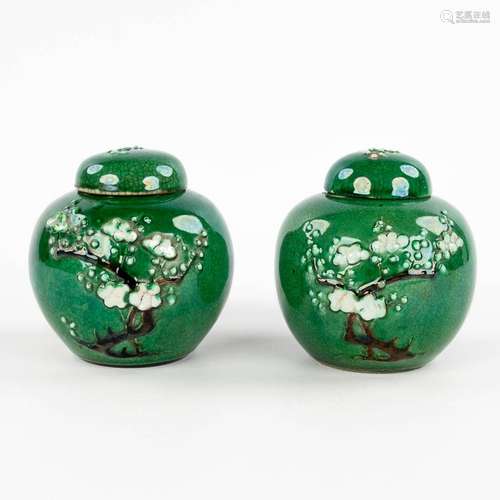 A pair of Chinese ginger jars, decorated with flowering bons...