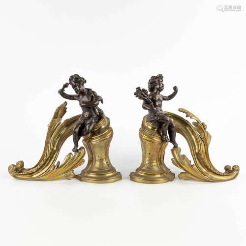 A pair of fireplace bucks decorated with putti in Louis XV s...