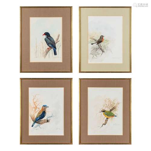 Gamini P. RATNAVIRA (1949) 'Birds' watercolour on paper. (W:...