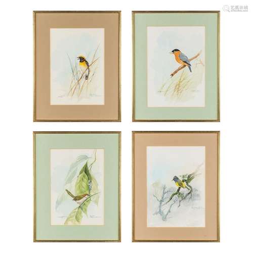 Gamini P. RATNAVIRA (1949) 'Birds' watercolour on paper. (W:...