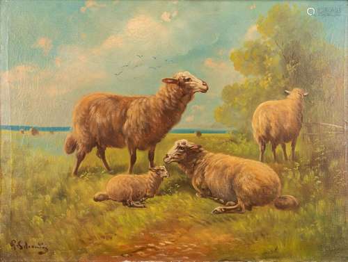 Paul SCHOUTEN (1860-1922) 'Sheep in a field' oil on canvas. ...