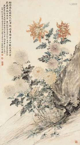 顾伯达 壬申(1932年)作 菊石 镜心