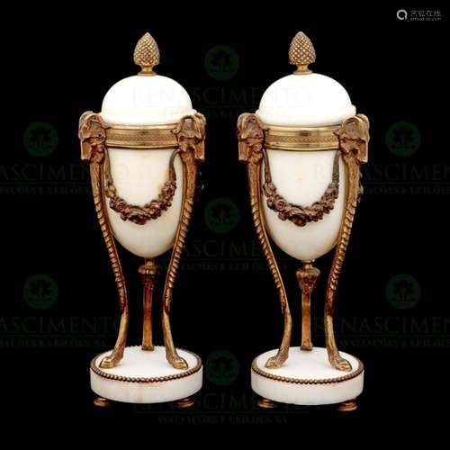 A PAIR OF LOUIS XVI STYLE URNS