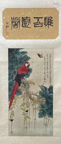 Yu Fei'an parrot