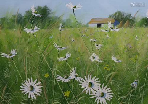 Paul Evans (1950-), gouache, Summer Meadow, Near Lewes, sign...