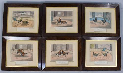 Cock Fighting Interest: A Set of Six Coloured Engravings aft...