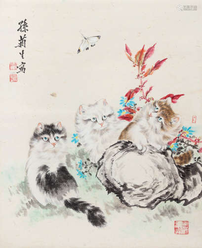 孙菊生（1913-2018） 猫蝶图 立轴 设色纸本