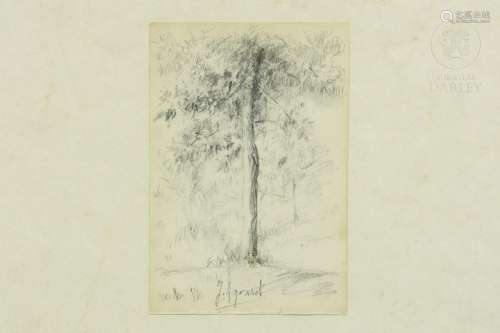 JOAQUIN AGRASOT Y JUAN (1836/37 - 1919) "Tree"