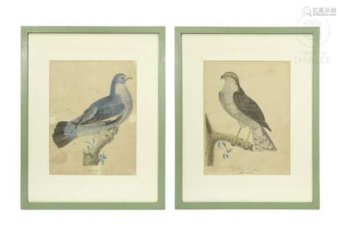 Pair of illustrations of birds, 20th century