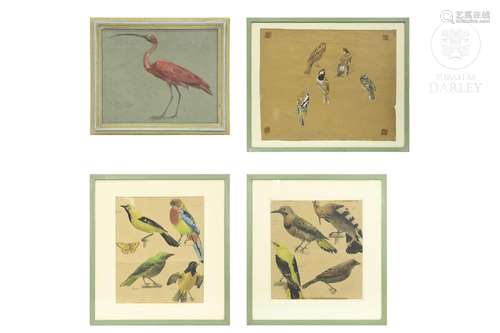 Set of four illustrations, 20th century