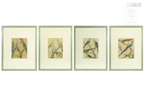 Set of four paintings of birds, 20th century