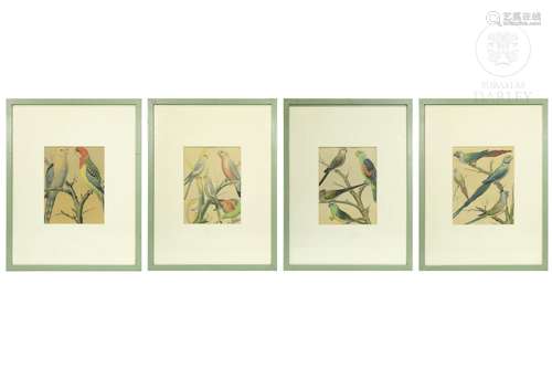 Set of four paintings of birds, 20th century