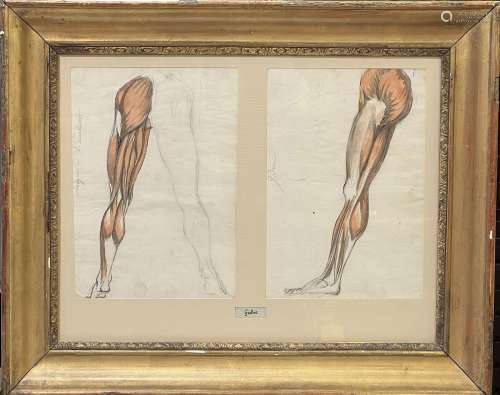 Bernard GAILLOT (1780-1847)
"Écorché, études de jambes&...
