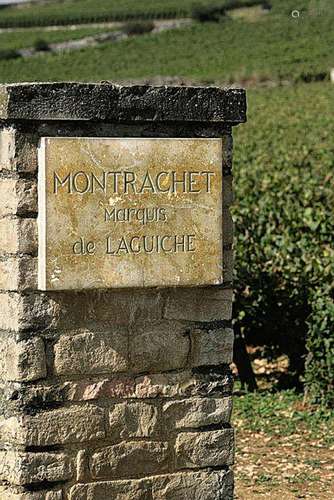 Montrachet, Marquis de Laguiche 2016 Joseph Drouhin (6 BT)