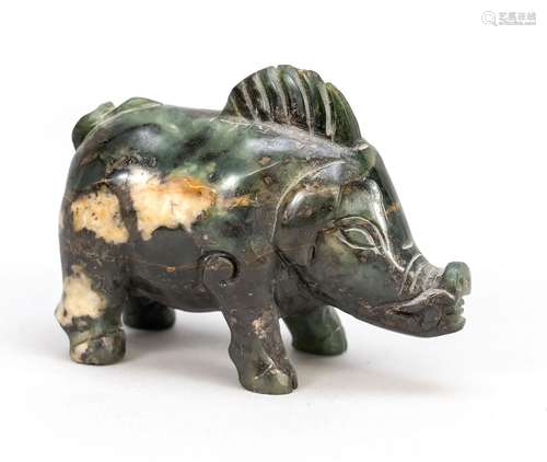 Continental Chinese bristle pig in search of truffles, China...