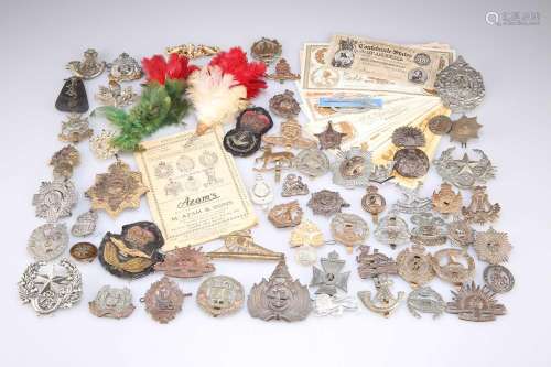 A COLLECTION OF BRITISH AND COMMONWEALTH CAP BADGES