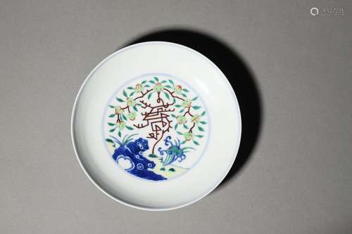 A QING DAOGUANG DOUCAI DISH