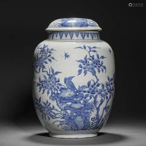 Qing Dynasty blue and white flower and bird jar