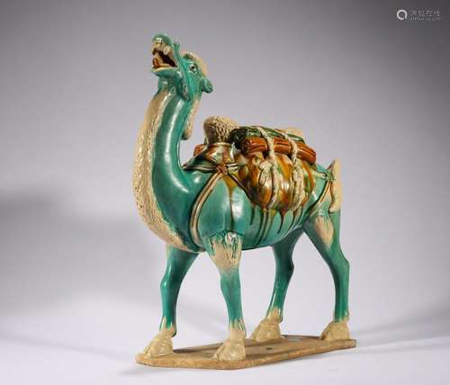 Ancient Three Color Camel