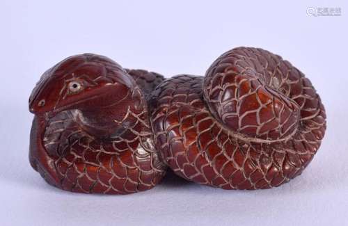 A JAPANESE CARVED WOOD SNAKE NETSUKE. 5 cm x 2.5 cm.