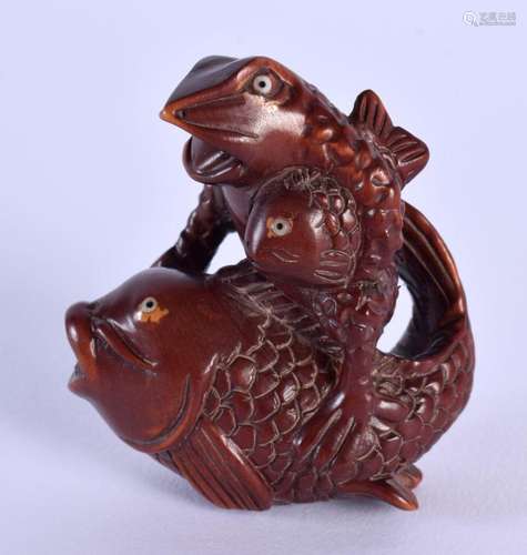 A JAPANESE CARVED WOOD CARP NETSUKE. 5 cm x 4.5 cm.