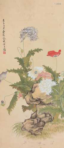 邓芬-花卉