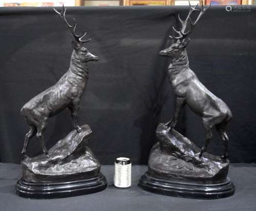 A large pair of bronze stags 72 cm (2)