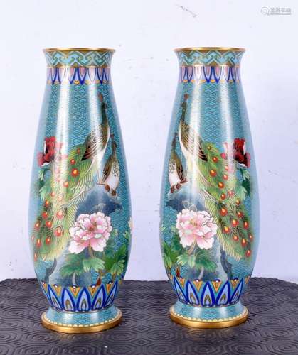 A pair of Chinese cloisonne enamel vase, decorated with exot...