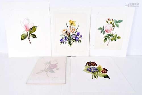 A collection of botanical water colours signed B J McGuire 3...